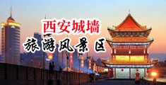 操逼骚逼爱吃鸡吧网站中国陕西-西安城墙旅游风景区